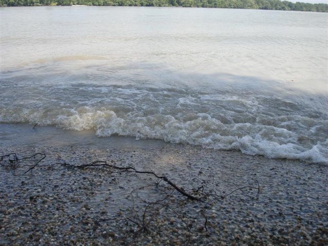 DSC05788 (Medium)